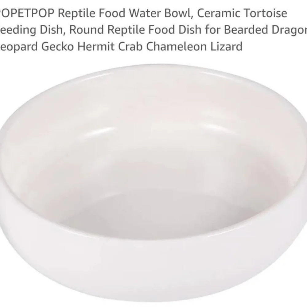 White Ceramic Reptile Food Bowl